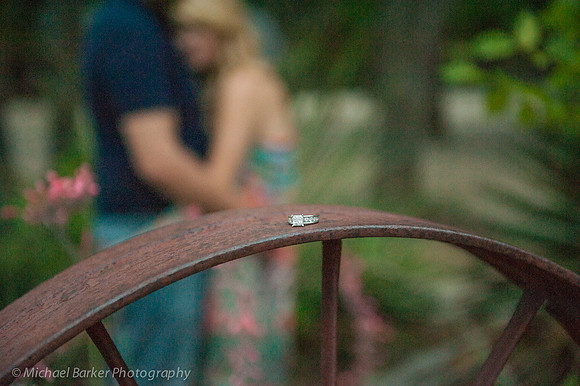 Shelby and Parker Engagement 2013