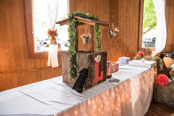 Long_Wedding_LR-411