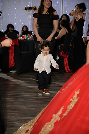 Mykhayla_Gutierrez_Quince_Party-210