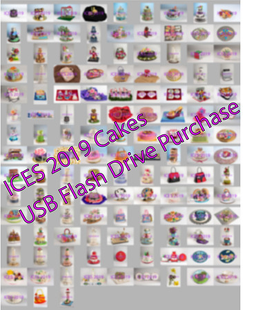 ICES2019 Cake Only $45 Flash Drive