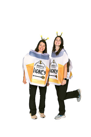 HoneyBees